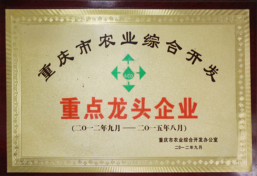 重點龍頭企業
